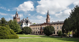 Bild Rathaus 