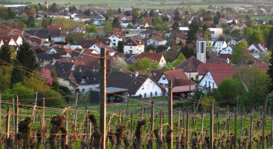 Blick auf Hohensachsen