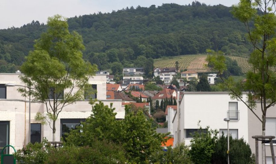 Blick aus Lützelsachsen Ebene