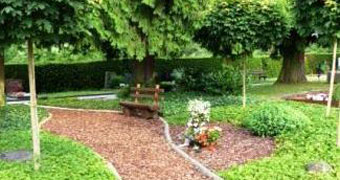 Baumbestattungsfeld Oberflockenbach