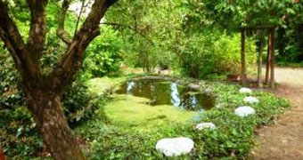 Naturbestattung Hauptfriedhof