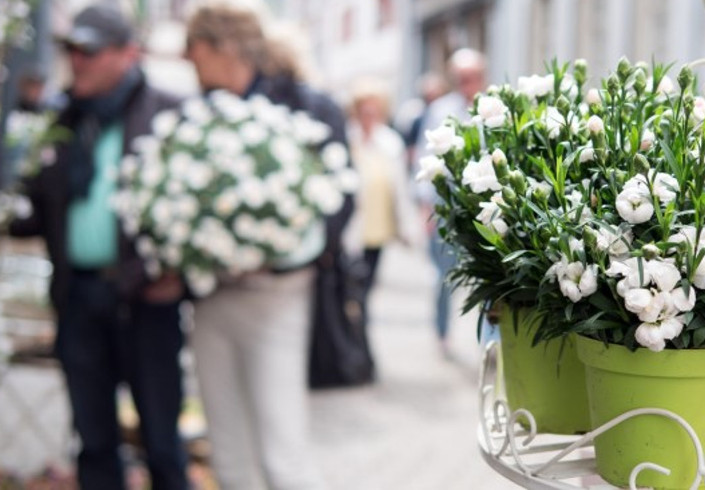 Verkaufsoffener Sonntag in der Stadt Weinheim Blumendekoration der Fußgängerzone Weinheim mit Menschen beim Einkaufen am verkaufsoffenen Sonntag