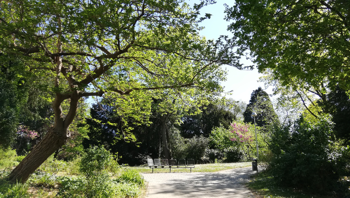 Blick in den Haganderpark