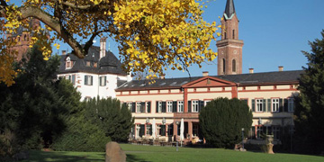 Das Weinheimer Schloss aus der Perspektive des Schlossparks